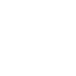 logo-bach-an-khang